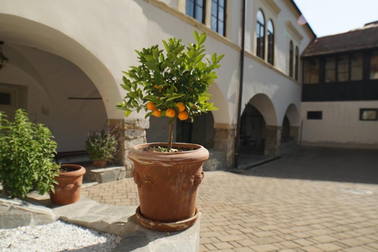 Sobe Prostija Appartement Ptuj Buitenkant foto